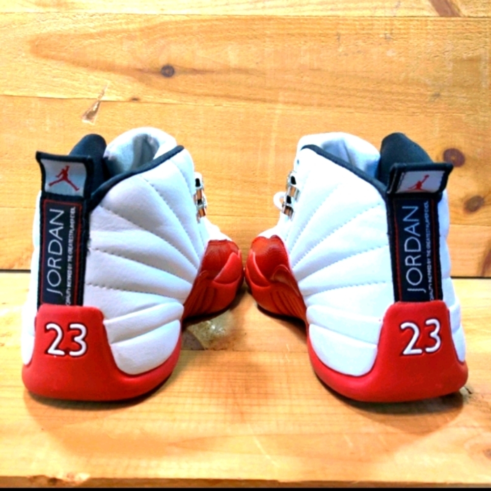 COPY - Jordan cherry 12